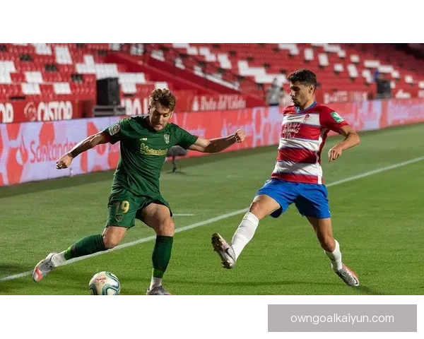 奥地利鲍姆加特纳状态回暖 助力球队争取更高排名